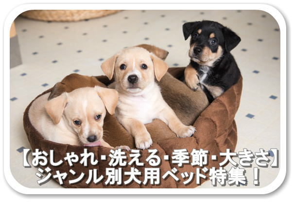 【おしゃれ・洗える・冬・夏】条件毎のおすすめ犬用ベッドドーム特集