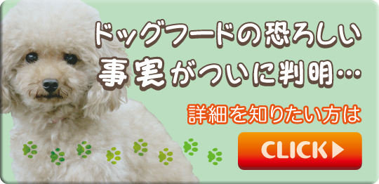 国産＆日本製のドッグフードの正しい選び方＆おすすめランキング-ドッグフード博士