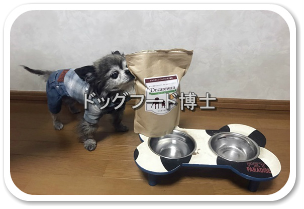 国産＆日本製のドッグフードの正しい選び方＆おすすめランキング-ドッグフード博士